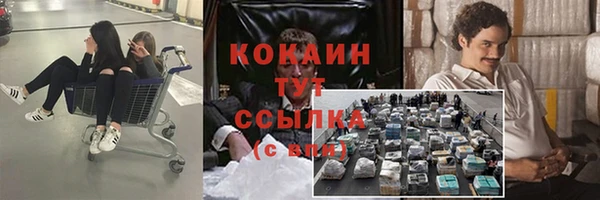 дживик Наволоки