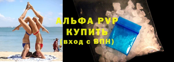 амф Надым